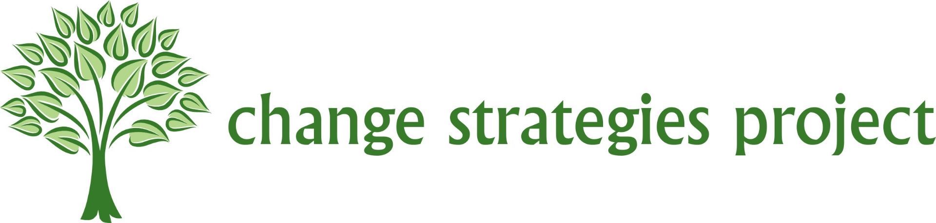 Change Strategies Project